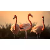 digitaler download: drei flamingos beim sonnenaufgang – perfekt für wohn- und arbeitsräume! online kaufen bei ronny kühn