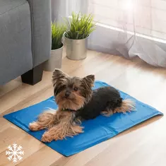 cooling mat for pets colet innovagoods ig811426 40 x 50 cm online kaufen bei shomugo gmbh