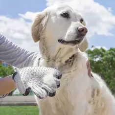 pet grooming glove relpet innovagoods - perfect fur care and blissful massage for happy dog online kaufen bei shomugo gmbh