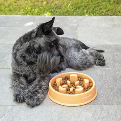 slow feed dog bowl - gesunde futteraufnahme für deinen hund online kaufen bei shomugo gmbh