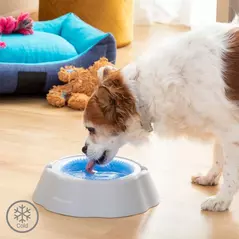 THE FRESHTY INNOVAGOODS COOLING PET WATER BOWL - THE IDEAL SOLUTION FOR THIRSTY PETS via SHOMUGO - Dein Brand Store im Online Marktplatz