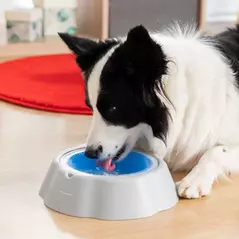 THE FRESHTY INNOVAGOODS COOLING PET WATER BOWL - THE IDEAL SOLUTION FOR THIRSTY PETS via SHOMUGO - Dein Brand Store im Online Marktplatz