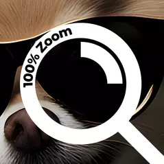 digitaler download: stylischer hund auf zwei beinen mit outfit, goldkette & sonnenbrille online kaufen bei ronny kühn