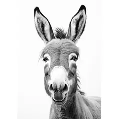 charmantes donkey-poster: einzigartige wandkunst für tierliebhaber! online kaufen bei ronny kühn