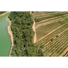 batič marlon hrastov hrib cuvée 2021 orange - high-end wein von batič online kaufen bei orange & natural wines