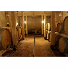 blazic belo 2015 - exquisite slovenian wine [clone] online kaufen bei orange & natural wines