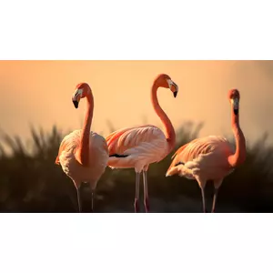 digital download: flamingos online kaufen bei ronny kühn
