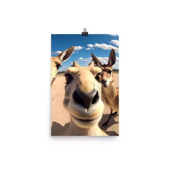 Poster Känguru Selfie