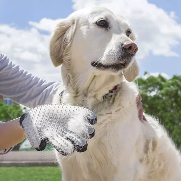 haustier-bürsthandschuh relpet innovagoods - perfekte fellpflege und entspannende massage für glückliche hunde online kaufen bei shomugo gmbh