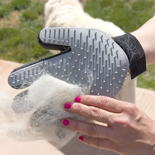 haustier-bürsthandschuh relpet innovagoods - perfekte fellpflege und entspannende massage für glückliche hunde online kaufen bei shomugo gmbh