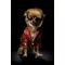 digitaler download: kleiner hund mit sonnenbrille & goldketten in roter jacke online kaufen bei alle anbieter